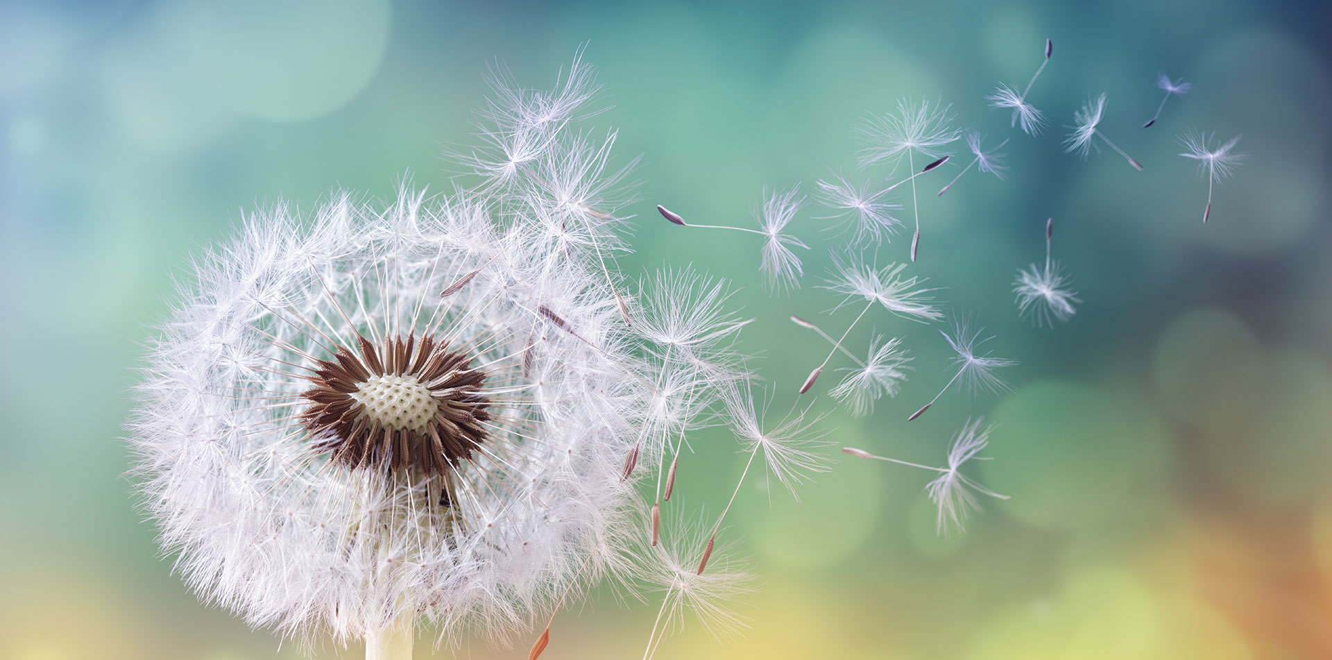 5 steps to becoming a millionaire